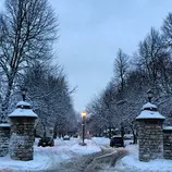 photography/photography-88.jpg