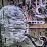 photography/photography-95.jpg