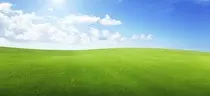 grassy-knoll.jpg