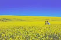images/intro_1.jpg
