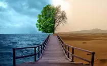 nature.jpg