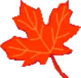 HOSTS/Kanasta_Friends/Graphics/tablefloat4.gif