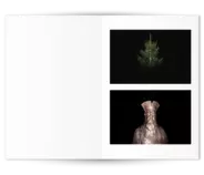 f10.png
