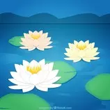 lotus-flowers-background_23-2147509273.jpg