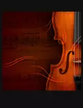 images/bg_violin.jpg