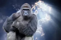 harambeislit.jpg