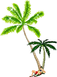 gif/palm.gif