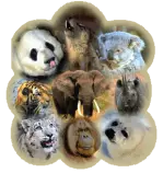 EndangeredAnimals.gif