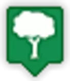 tree.png