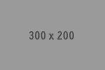 img/300X200.gif