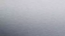 1637305.jpg
