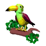 gif page 1/parrot1.gif
