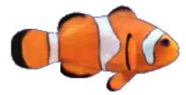 animatedclownfish-29.gif