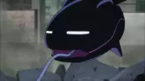 wt/c/31.jpg