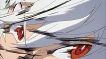 wt/c/34.jpg