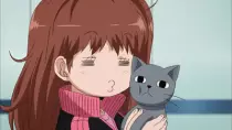 wt/c/72.jpg