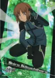 wt/ks.png