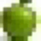 fruit/images/apple.jpg