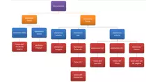 p2p opcional/relaciones html.png