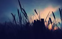 recuperacion/background.jpg