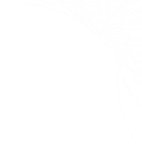 themes/halloween/cobweb_top_right.png