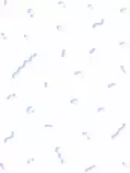 Images/websitebackground.png