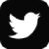 img/twitterLogo.png