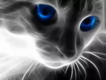 cool-wallpapers_3.jpg