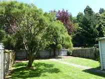 images/31-crown-back-yard-2.png