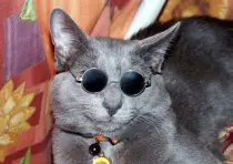 images/self.jpg