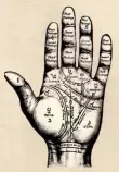 palm.jpg