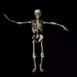 bepis/spook.gif