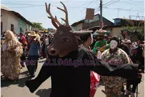 imagenes/VENADO.jpg