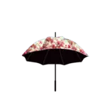 final/images/red.png