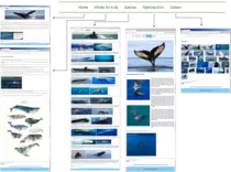 images/Picture1.png