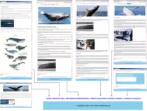 images/Picture2.png