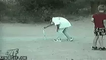 Harry/dog-grabs-firework.gif