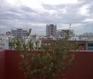 img/HNI_0016.gif