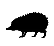 porcupine.gif