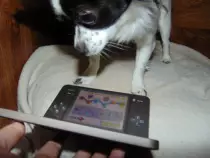 Pics/3DS2.jpg