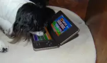 Pics/3DS4.jpg