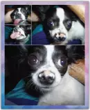 Pics/Collage1.jpg