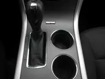 savannahcar/011.jpg