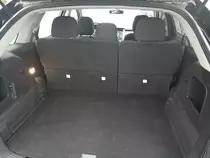 savannahcar/015.jpg