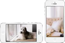 img/phones.png