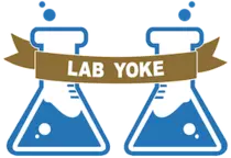 yoke4.png