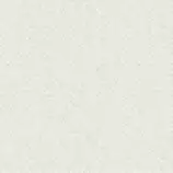 images/tail-header.gif