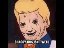 shaggy.jpg