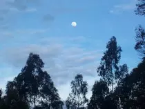 Medellin2.jpg