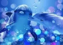 delfines 1.jpg